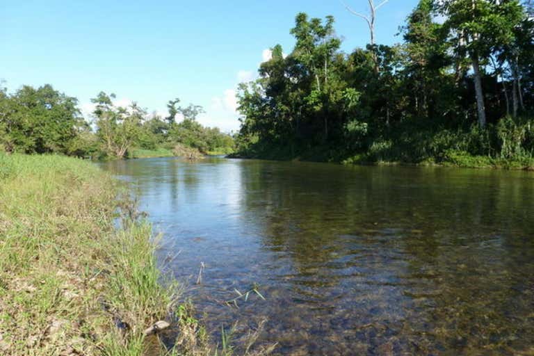 Farm No. 18, Silkwood-Japoon Rd & Patane Rd Japoonvale QLD 4856 - Image 2