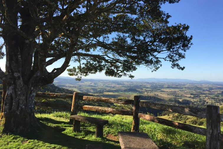 Millaa Millaa QLD 4886 - Image 4