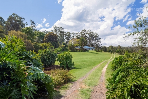 99 Candle Mountain Drive Crohamhurst QLD 4519 - Image 4