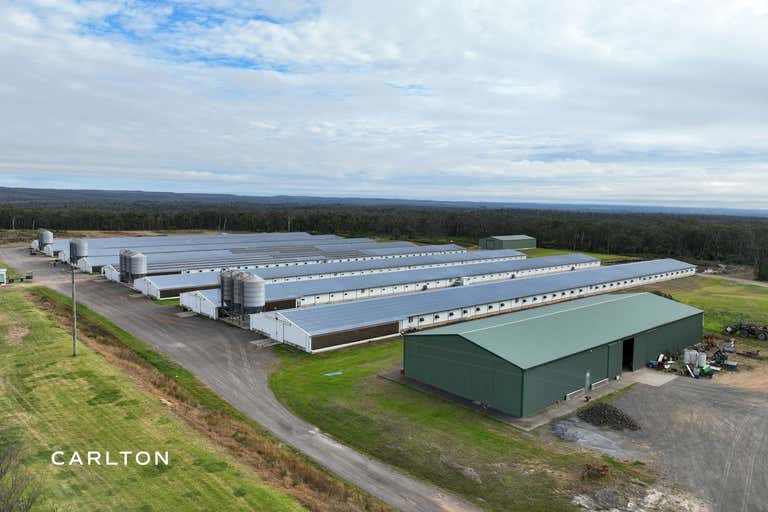 Established 8 Vented Shed Broiler Farm with DA Approval to Expand - Image 1