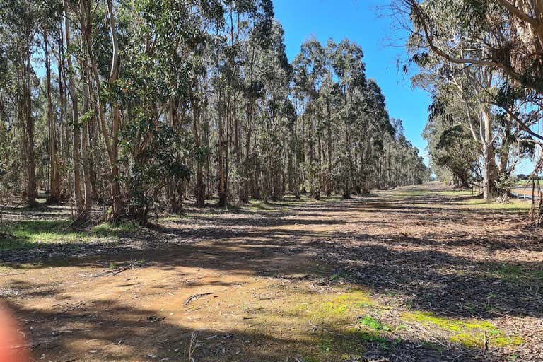 Lot, 5722 Jackson Road Narrikup WA 6326 - Image 4