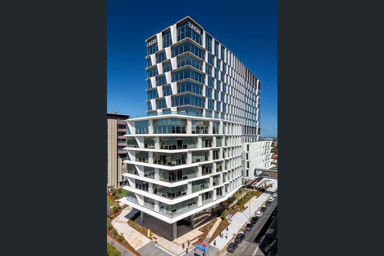 Health Translation Hub, 55 Botany Street Randwick NSW 2031 - Image 2