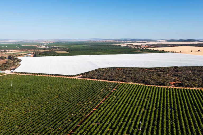 Nericon NSW 2680 - Image 1