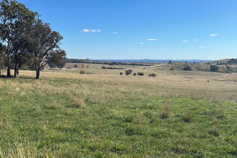 Old Biala Biala Road, Gunning, NSW 2581 Commercial Farming & Rural