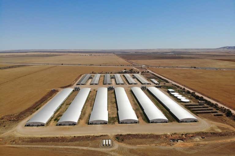 432 Wheat Road Beaufort SA 5550 - Image 2