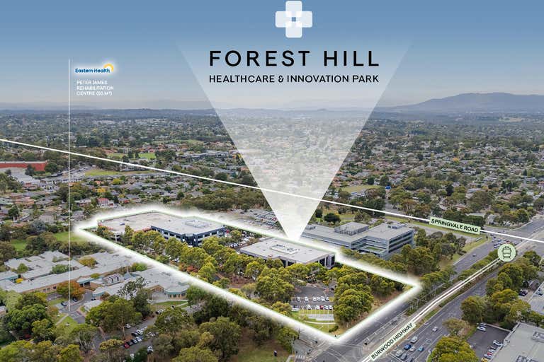 347 & 351 Burwood Highway Forest Hill VIC 3131 - Image 1
