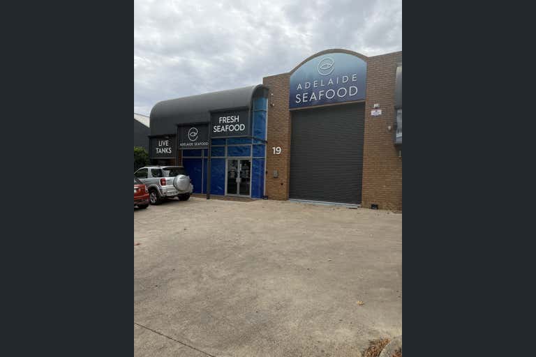 19 Nelson Street Stepney SA 5069 - Image 2