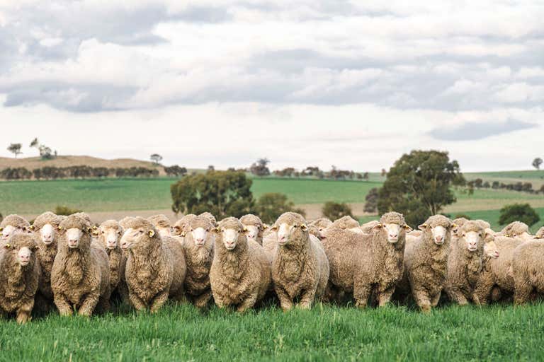 1679 Stockinbingal Road Cootamundra NSW 2590 - Image 1