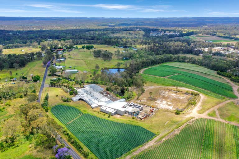 42 Salters Road, Wilberforce, NSW 2756 Commercial Farming & Rural