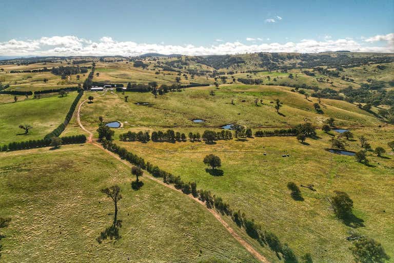 Premium Southern Tablelands Grazing Opportunity - Image 1