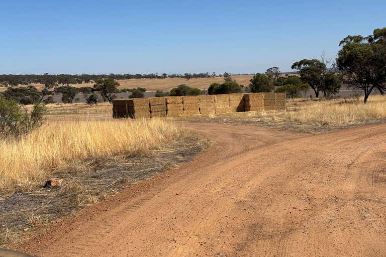 Youndegin Piggery, 875  Youndegin Kelkering Road Youndegin WA 6407 - Image 2