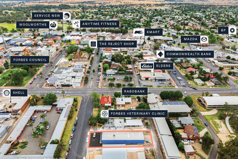 Pets Domain, 64 Templar Street Forbes NSW 2871 - Image 2