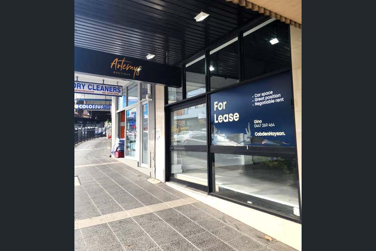 336 Homer Street Earlwood NSW 2206 - Image 1