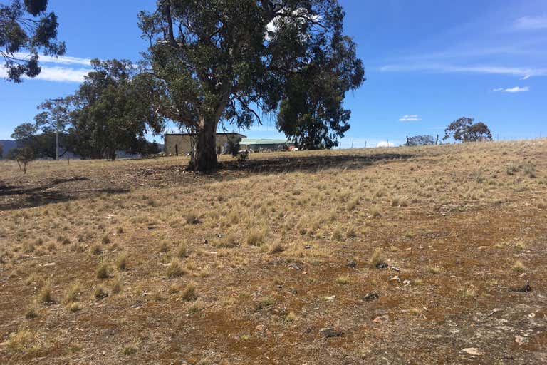 "Pony Hill" 11 & 12 Glebe Street Pontville TAS 7030 - Image 1