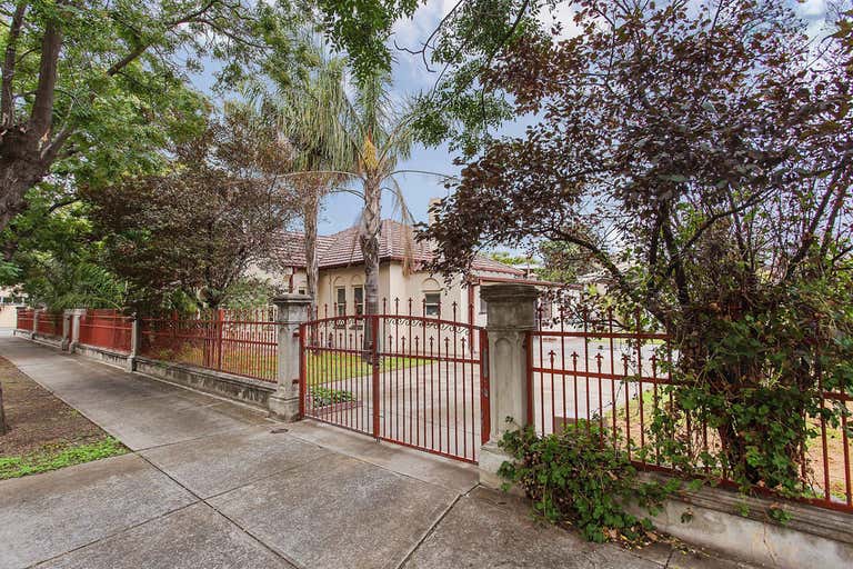 19 Tyson Street Ashford SA 5035 - Image 1