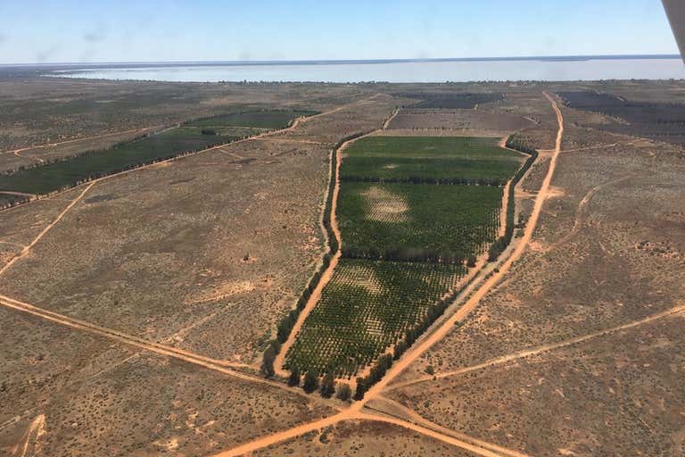 Sold Commercial Farming & Rural Property at 576 Menindee Road, Menindee