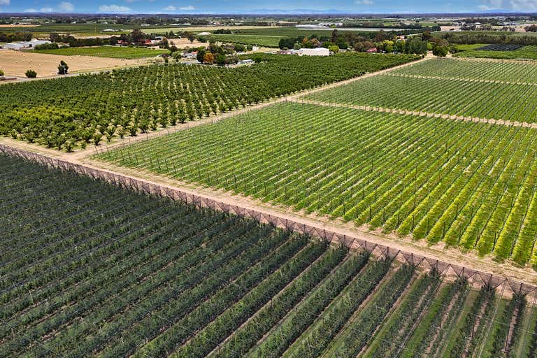 Orrvale VIC 3631 - Image 2