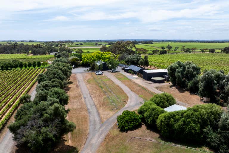 Fox Creek Wines, 90 Malpas Road McLaren Vale SA 5171 - Image 2