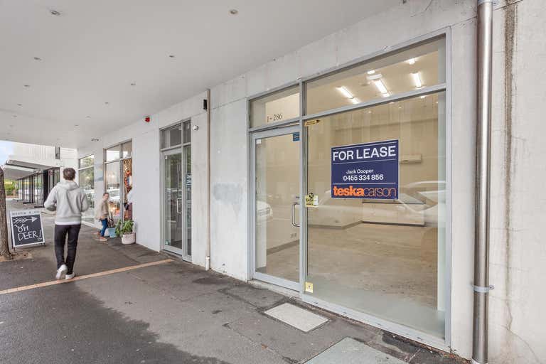 Shop 2 / 286 Neerim Road Carnegie VIC 3163 - Image 2