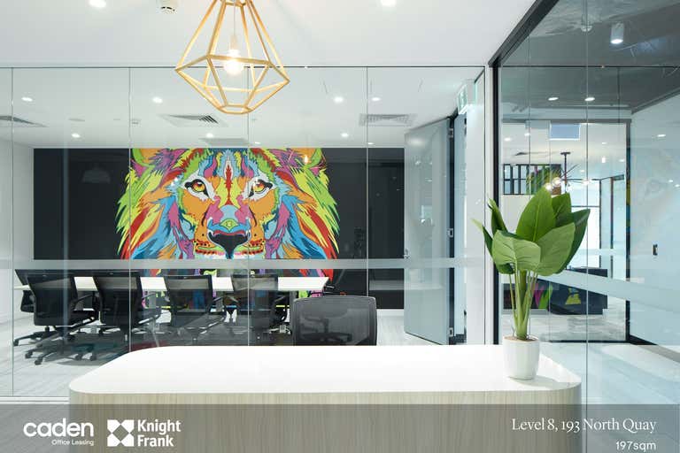 Level 8, 193 North Quay Brisbane City QLD 4000 - Image 1