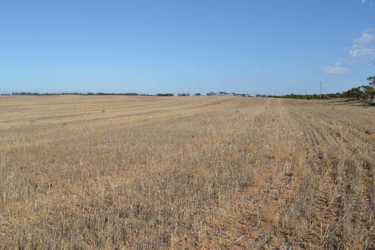 Lot 10 Simpson Rd Kyancutta SA 5651 - Image 2
