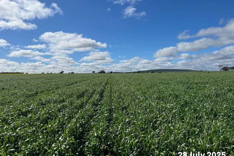 Wilgaroi, 207 Wilgaroi Road Bellata NSW 2397 - Image 1