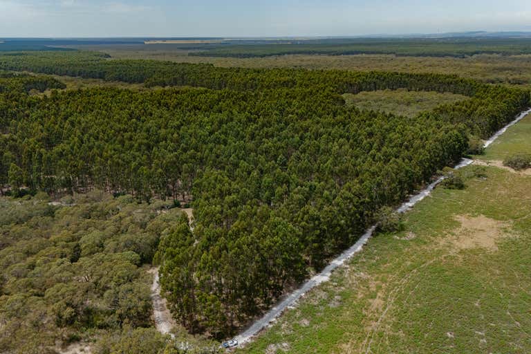 1830 Wattle Range Road, Wattle Range, SA 5280 - Commercial Farming ...