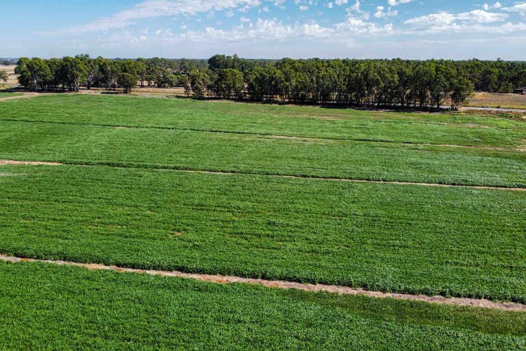 Koondrook Aggregation, 127 Orrs Road Gannawarra VIC 3568 - Image 2