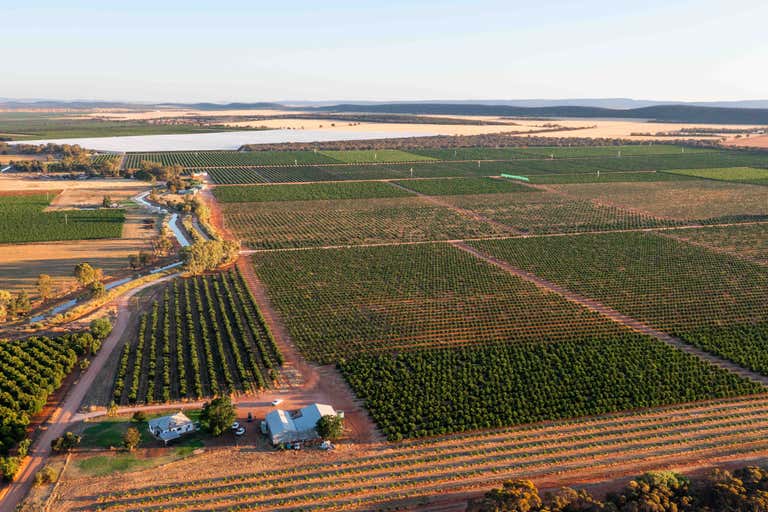 Nericon NSW 2680 - Image 2