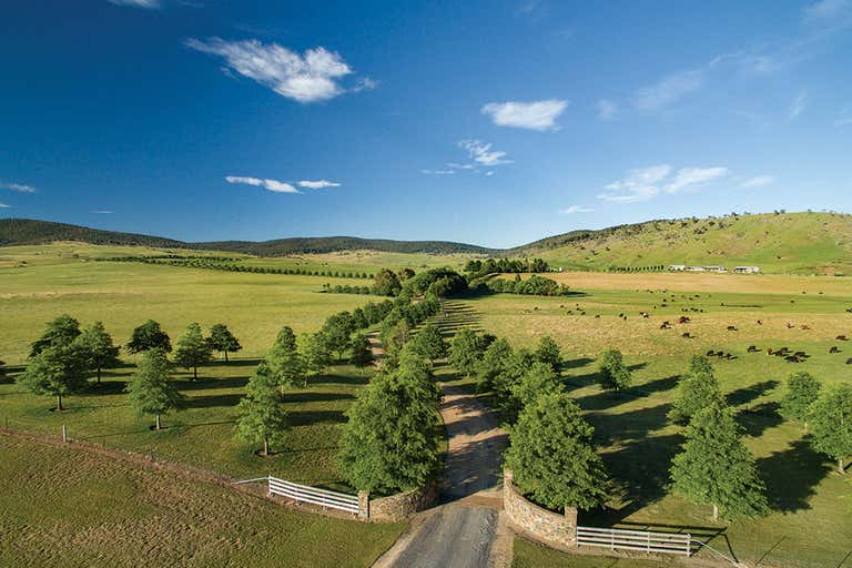 Omeo VIC 3898 - Image 2