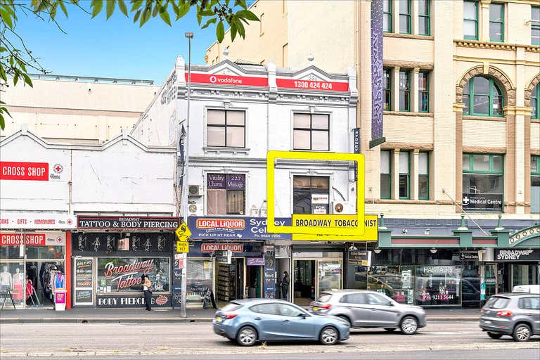 Level 1, 225 BROADWAY STREET Ultimo NSW 2007 - Image 1