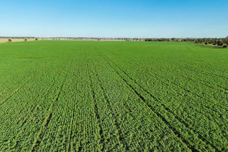 Killaloo, 214 Drillham South Road Drillham QLD 4424 - Image 2