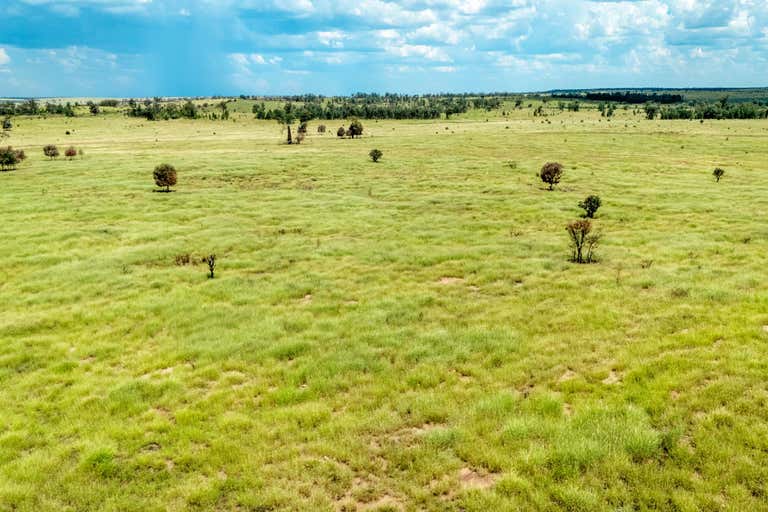 Taylors Plains, 10077 Hoganthulla Road Mungallala QLD 4467 - Image 1