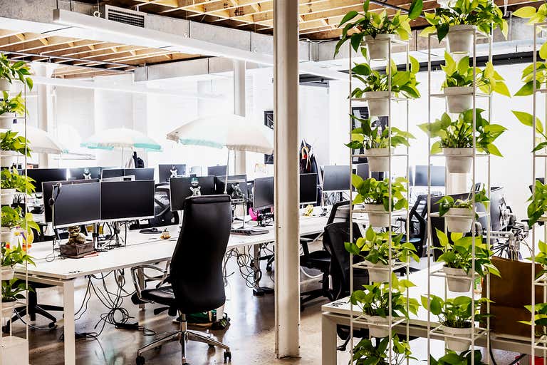 137 Pyrmont Street Pyrmont NSW 2009 - Image 2