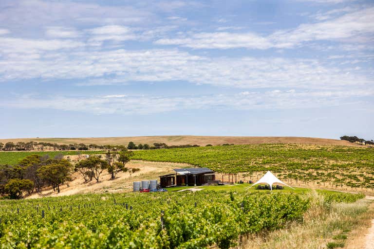 695 California Road, McLaren Vale, SA 5171 Commercial Farming & Rural