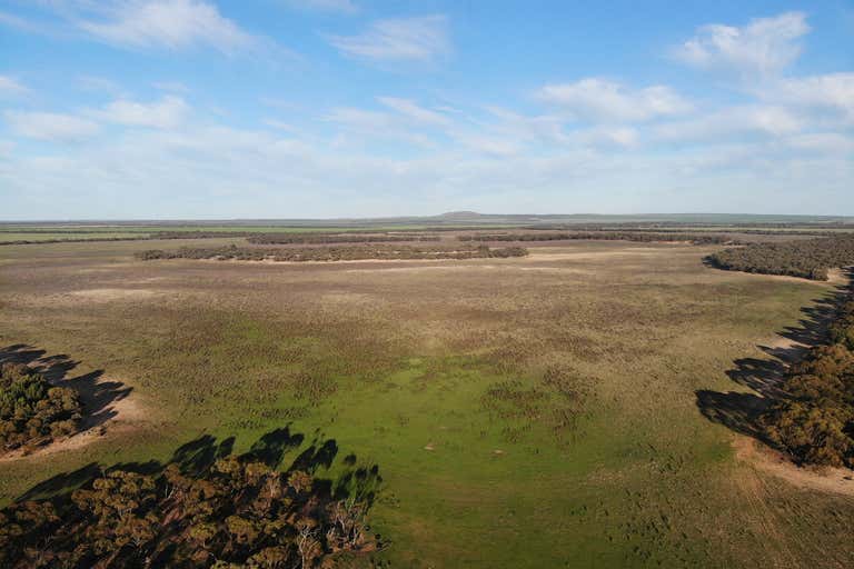 282 Leibich Road Wudinna SA 5652 - Image 2