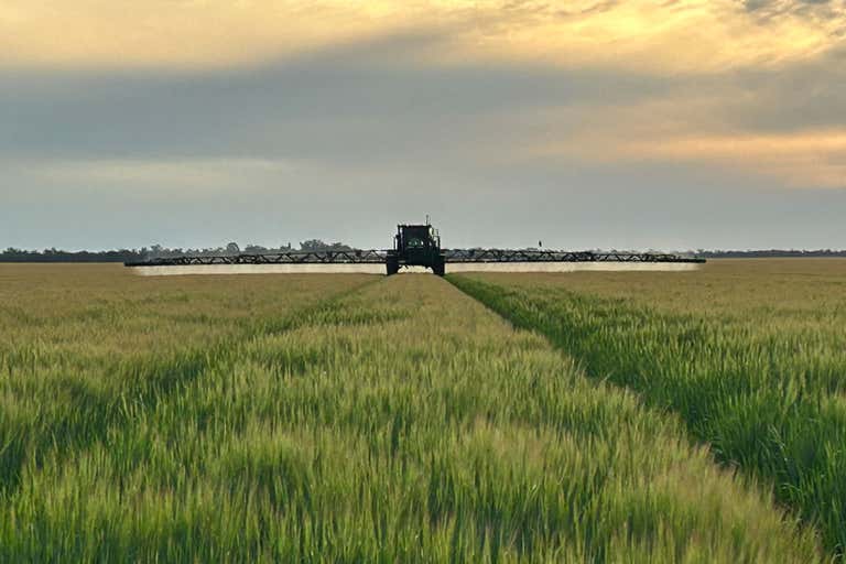 Jandowae QLD 4410 - Image 1