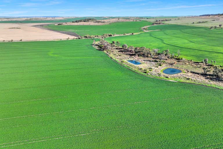 Warialda NSW 2402 - Image 1