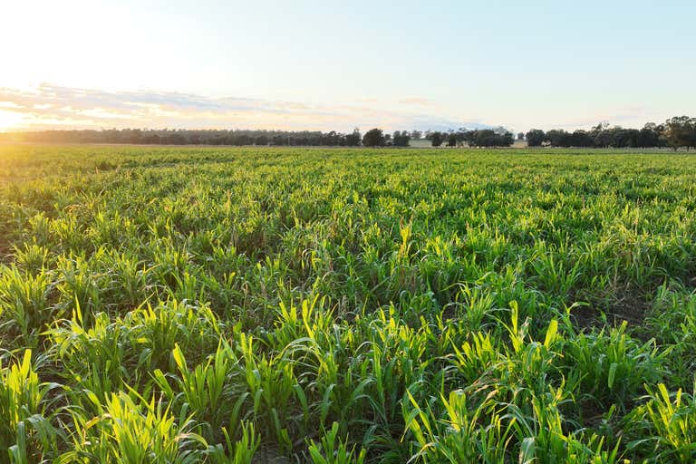 Killaloo, 214 Drillham South Road Drillham QLD 4424 - Image 1