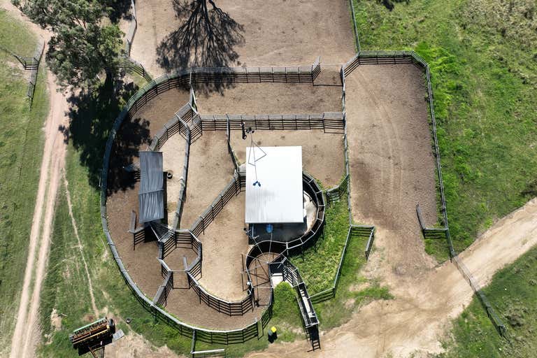 Palgrove, 555 Palgrave Road Dalveen QLD 4374 - Image 2