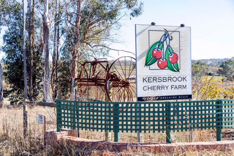 Kersbrook Cherry Farm , 1718  South Para Road Kersbrook SA 5231 - Image 2