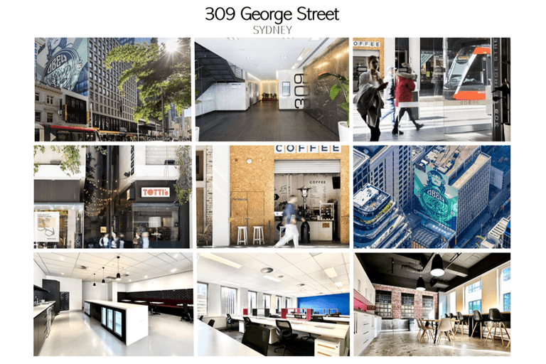 309 George Street Sydney NSW 2000 - Image 1