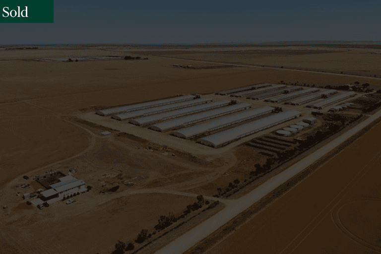 432 Wheat Road Beaufort SA 5550 - Image 1