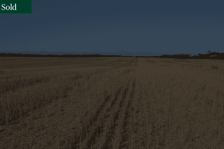 Lot 10 Simpson Rd Kyancutta SA 5651 - Image 1