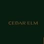 image of Cedar Elm